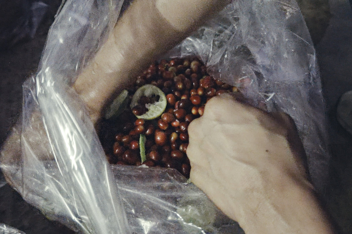 Laos / Geisha Lime Natural 袋の中でライムとチェリーを混ぜる