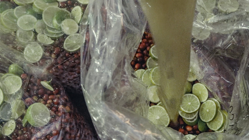 Laos / Geisha Lime Natural